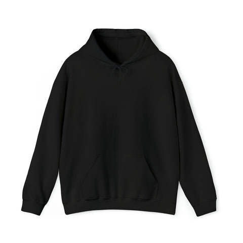 AAA Unisex Heavy Blend™ Hooded Sweatshirt