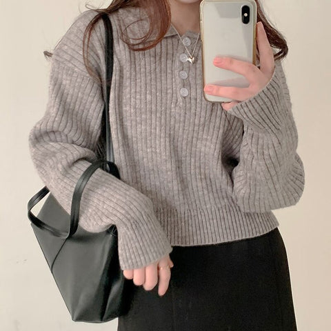 Cute Sweaters Turn Down Collar Full Sleeve Jumpers