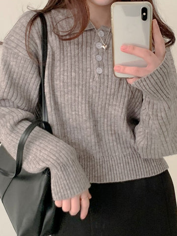 Cute Sweaters Turn Down Collar Full Sleeve Jumpers