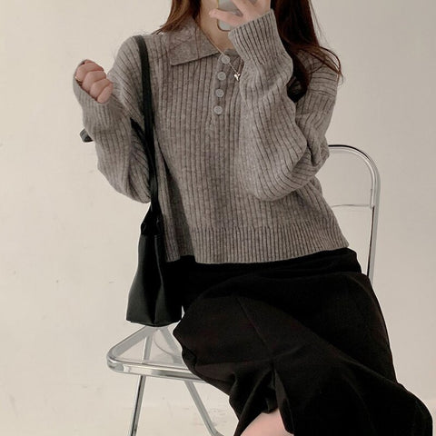 Cute Sweaters Turn Down Collar Full Sleeve Jumpers