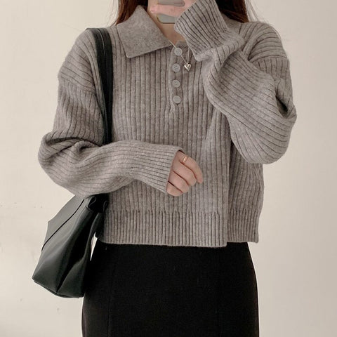 Cute Sweaters Turn Down Collar Full Sleeve Jumpers