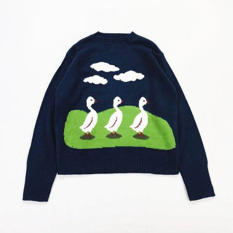 Ducks Sweater